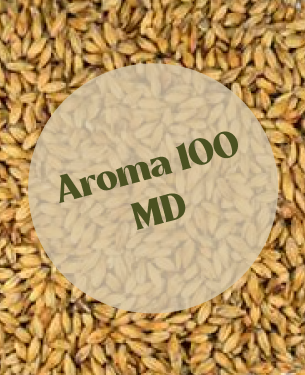 Dingemans Aroma 100 MD
